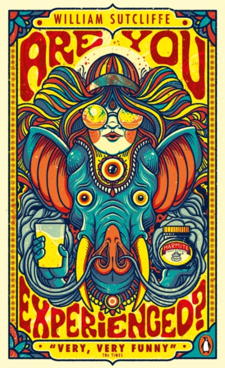 Kniha Are You Experienced