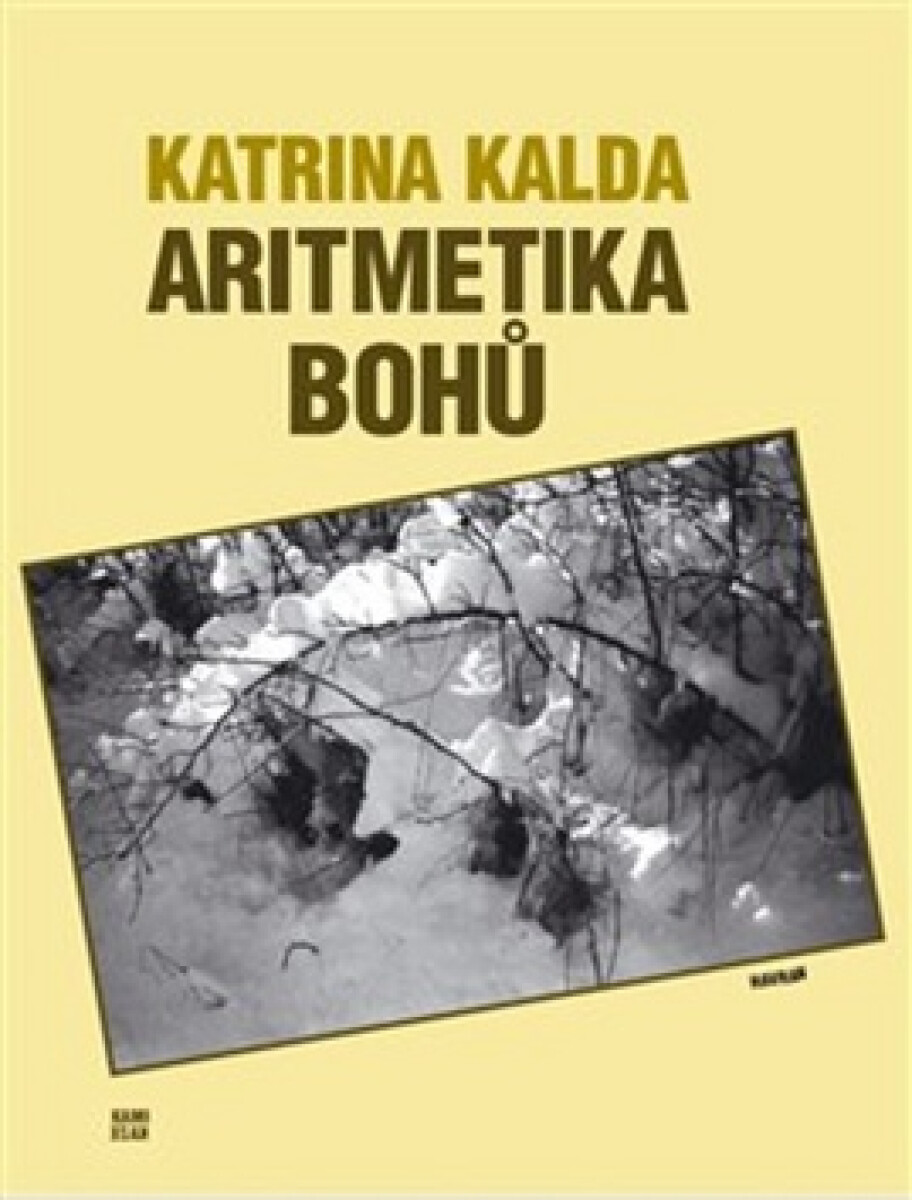 Kniha Aritmetika bohů