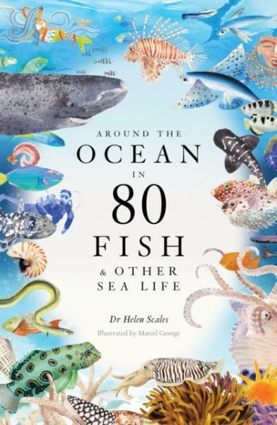 Kniha Around the Ocean in 80 Fish and other Sea Life