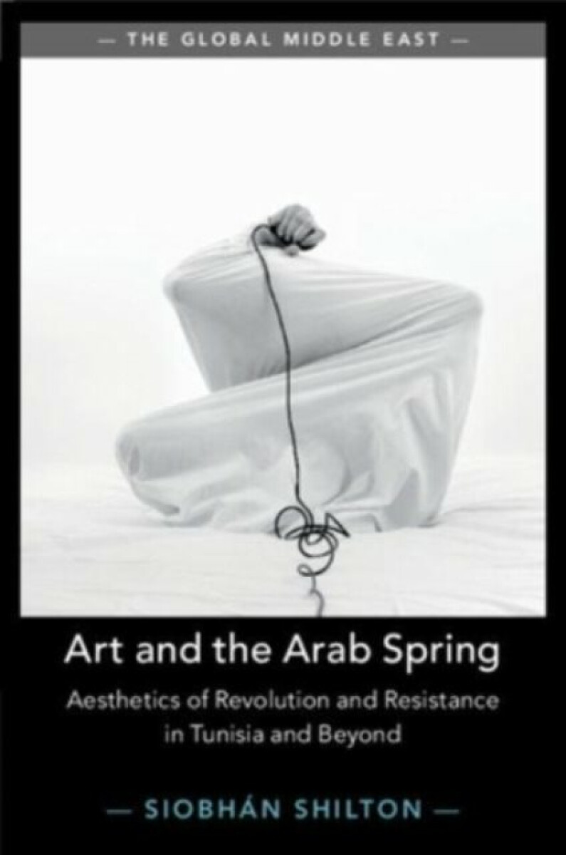 Kniha Art and the Arab Spring