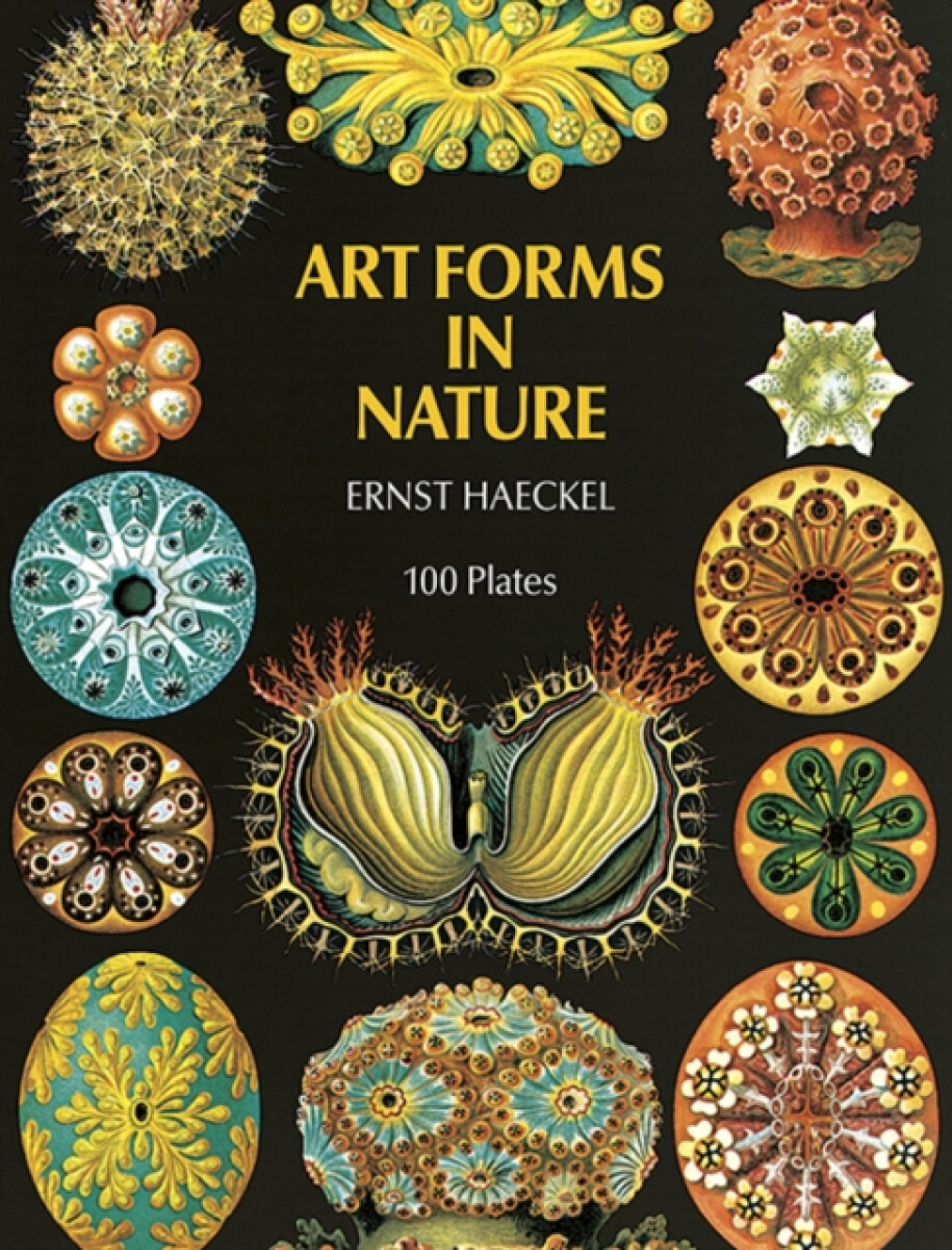 Art Forms in Nature – Haeckel Ernst