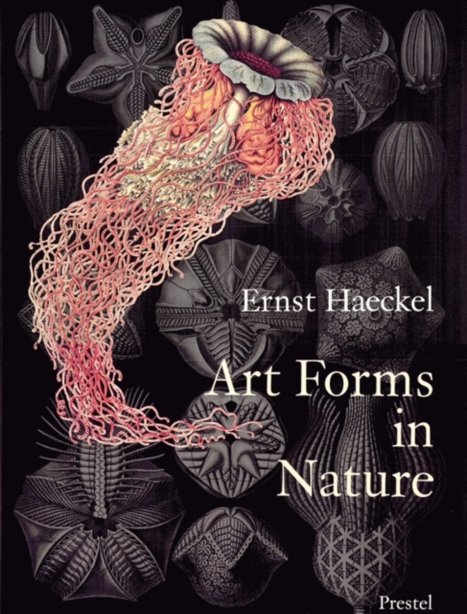 Kniha Art Forms in Nature