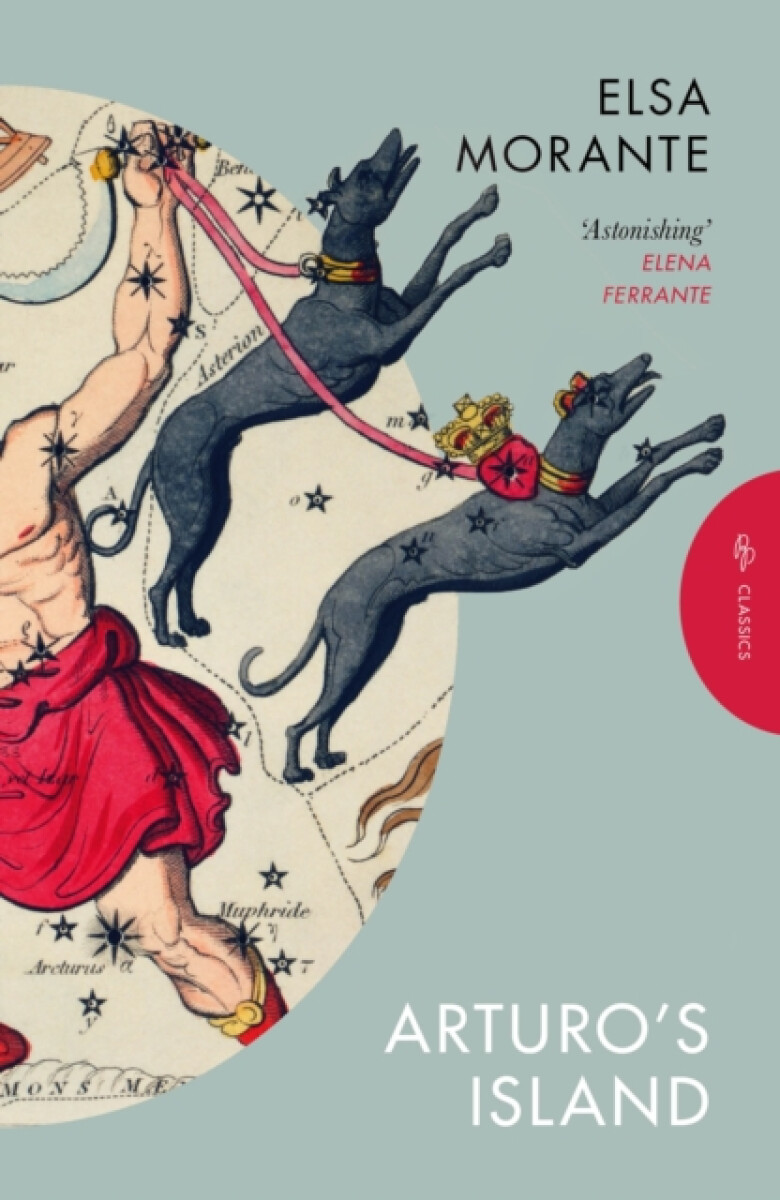 Kniha Arturo's Island