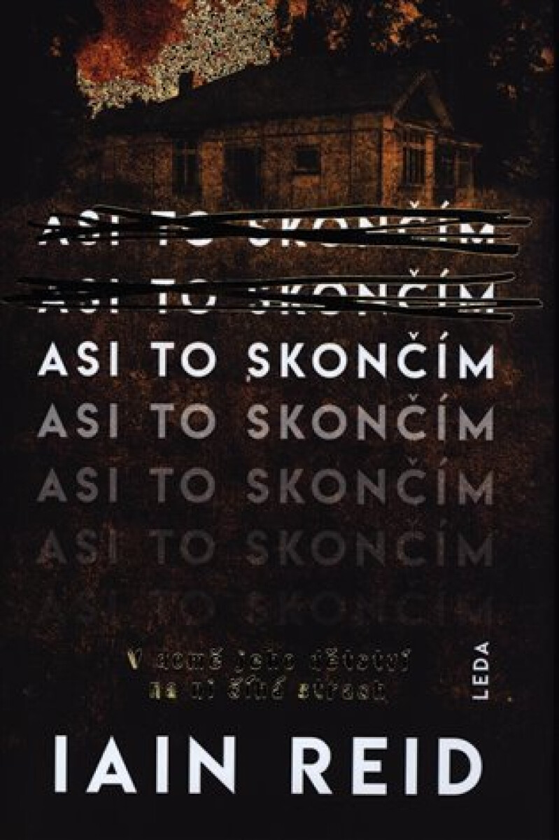 Kniha Asi to skončím
