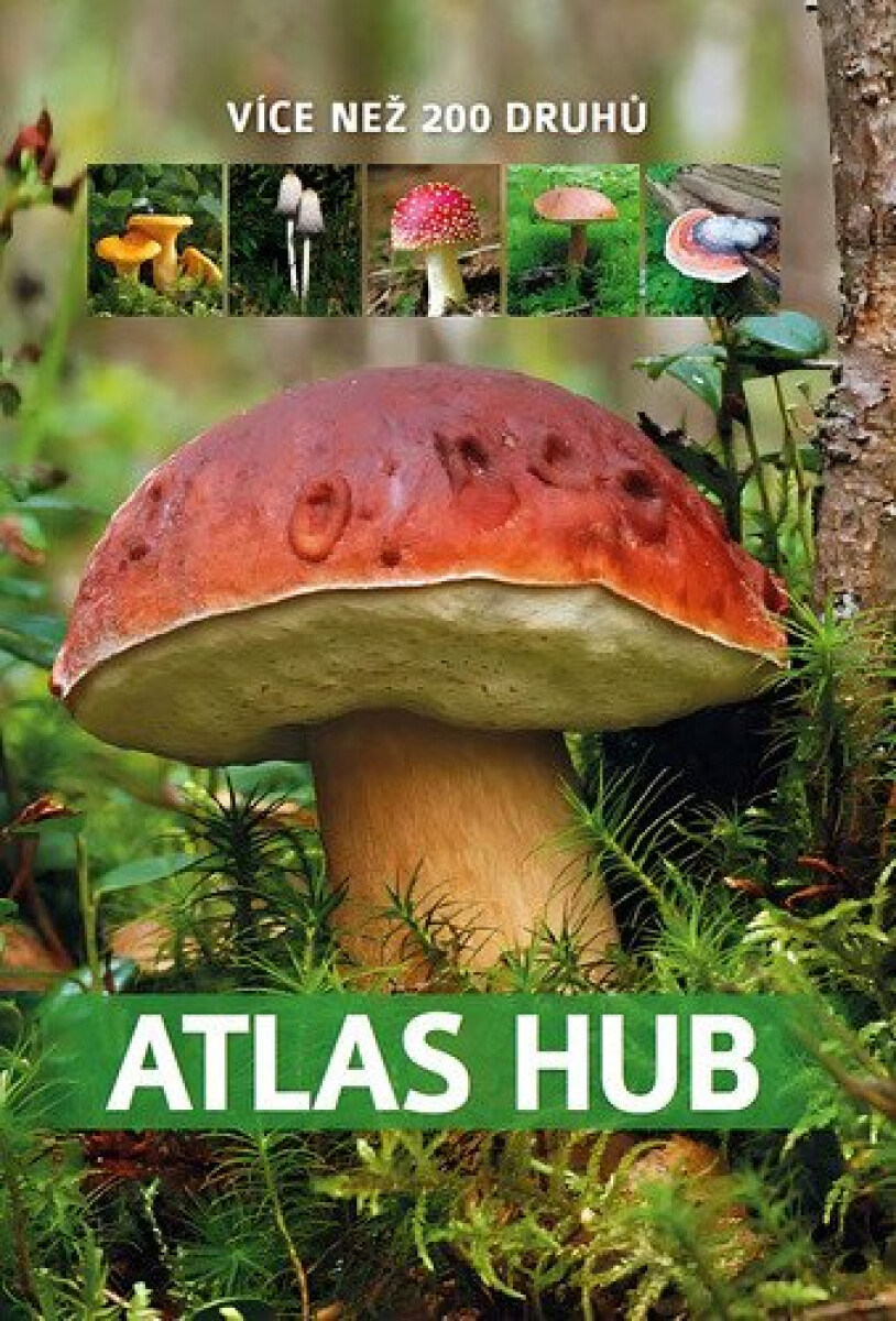 Kniha Atlas hub