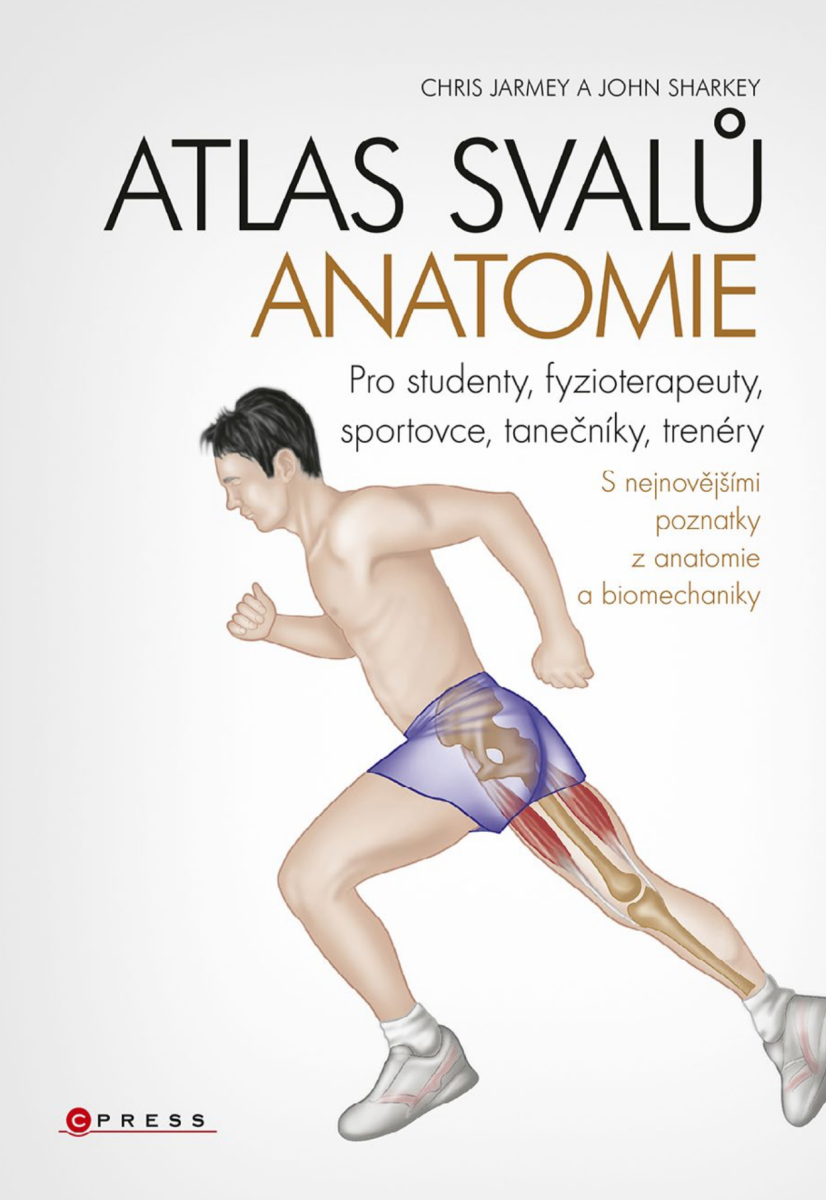Levně Atlas svalů - anatomie - John Sharkey, Chris Jarmey