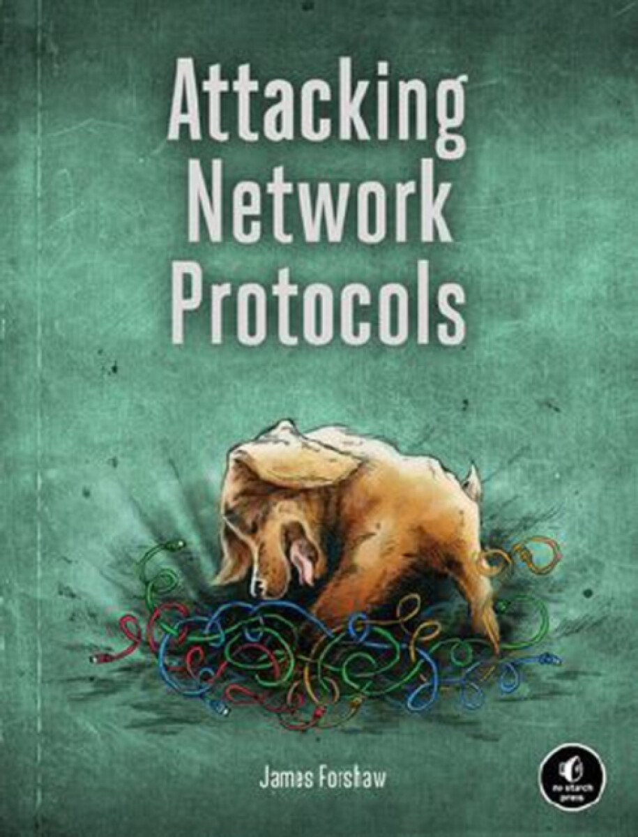 Kniha Attacking Network Protocols