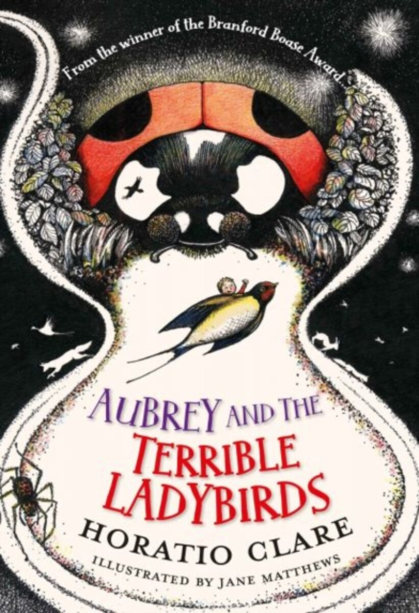 Kniha Aubrey and the Terrible Ladybirds