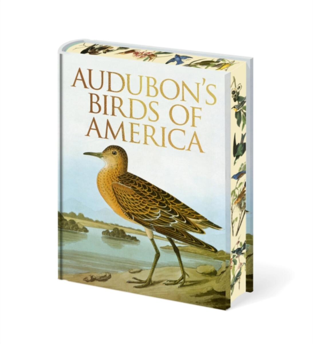 Kniha Audubon's Birds of America
