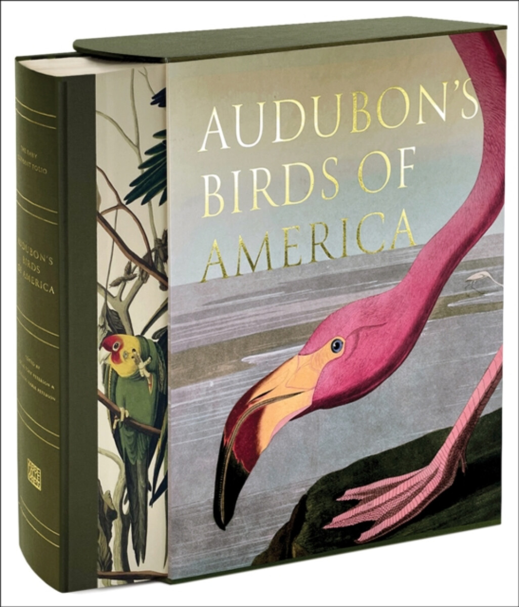 Kniha Audubon’s Birds of America