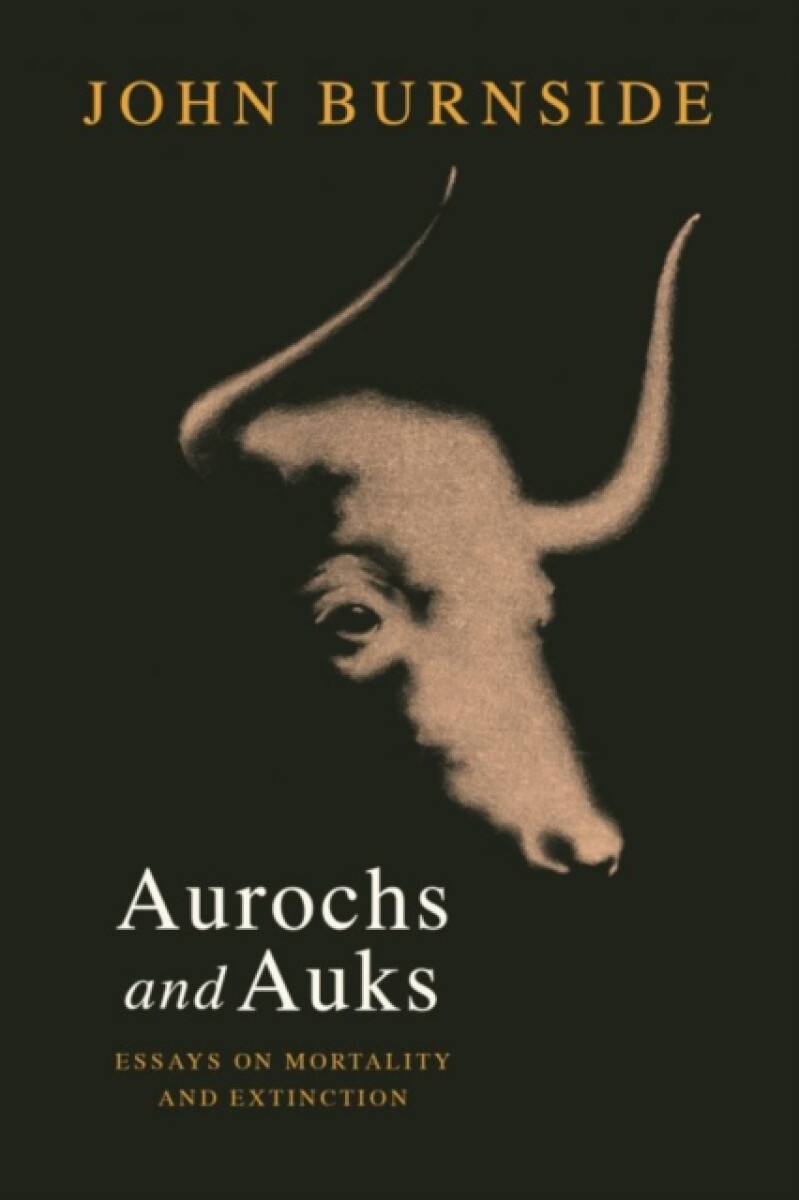 Kniha Aurochs and Auks