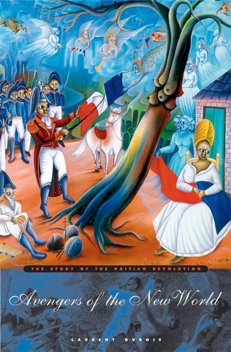 Kniha Avengers of the New World