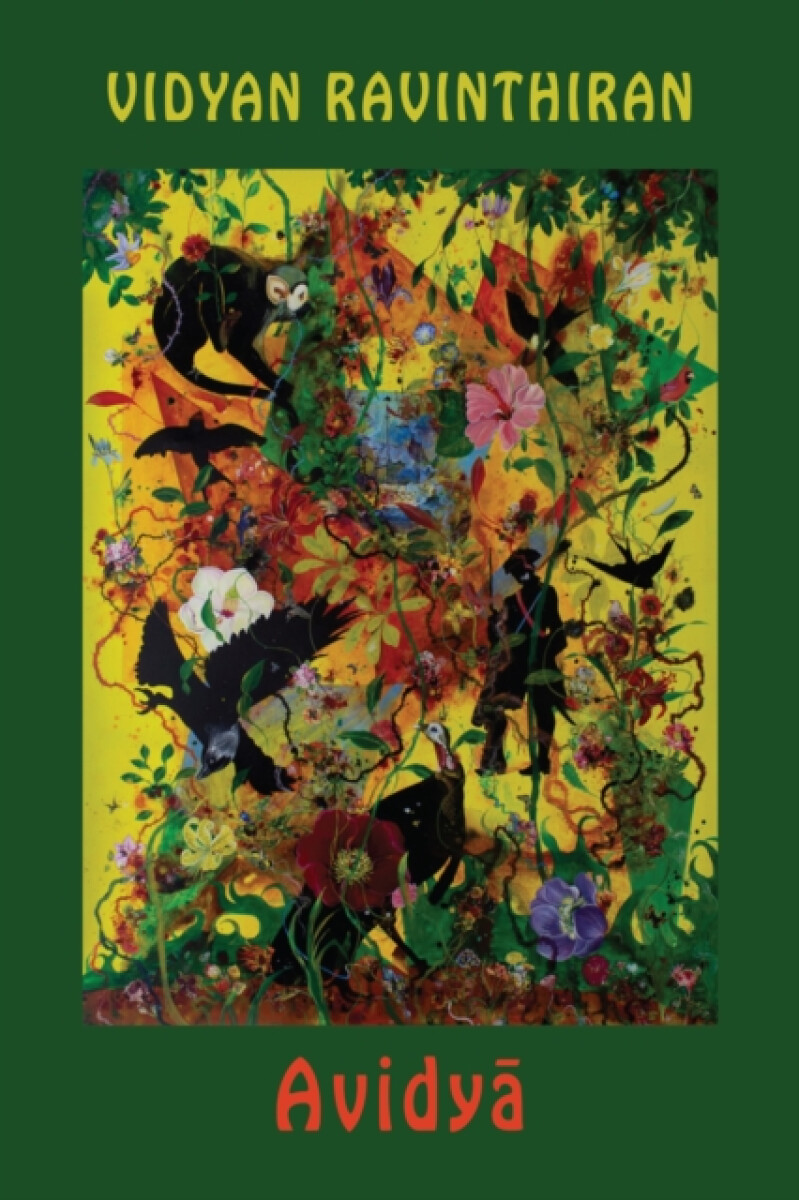 Kniha Avidya