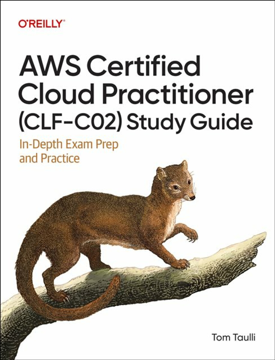 Kniha AWS Certified Cloud Practitioner (CLF-C02) Study Guide