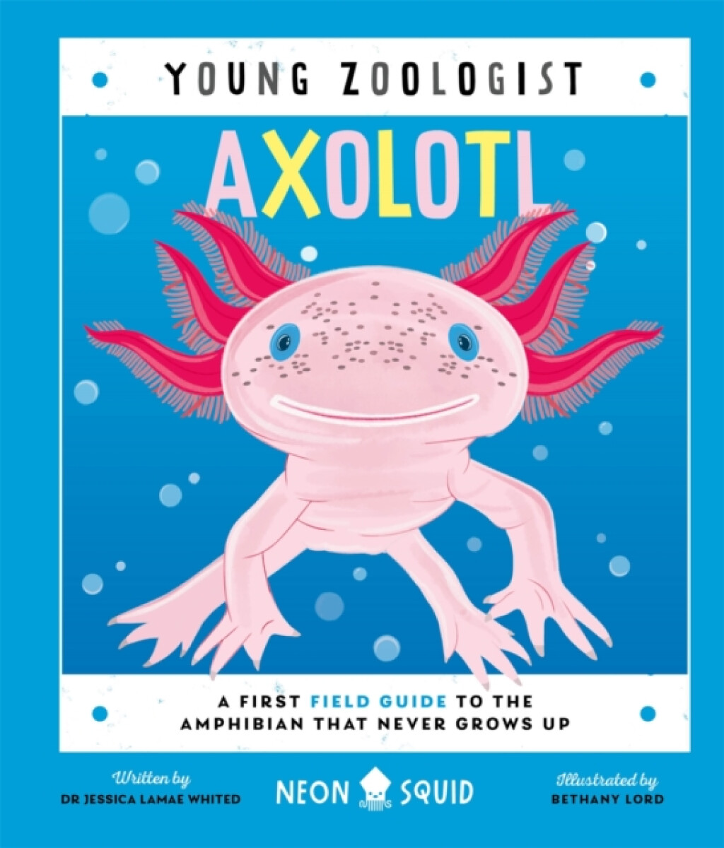Kniha Axolotl (Young Zoologist)