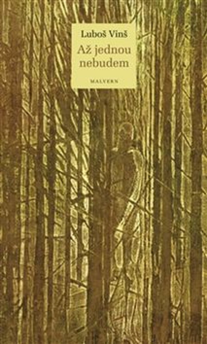 Kniha Až jednou nebudem