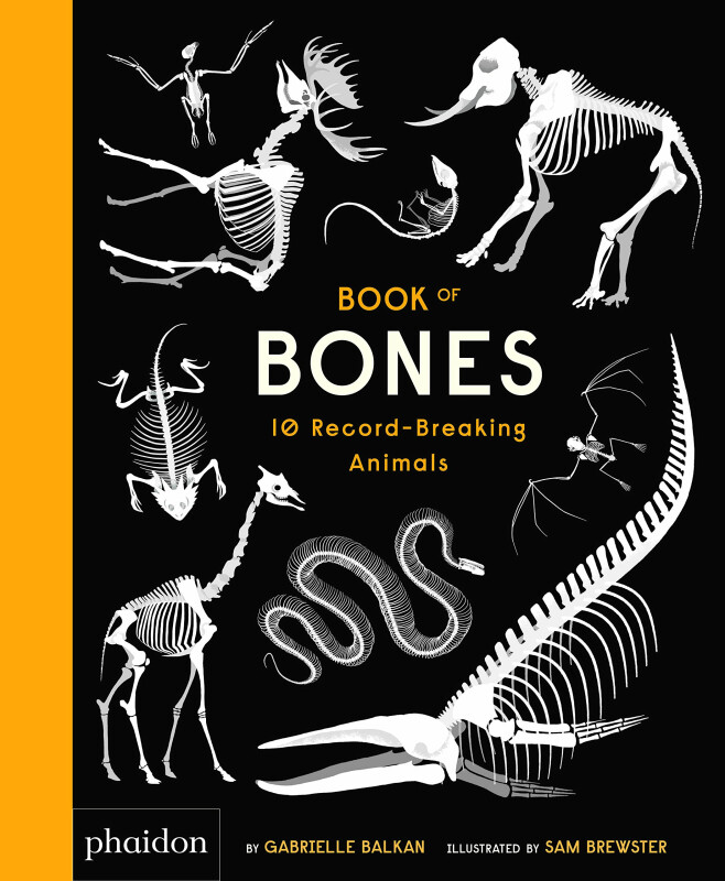 Kniha Book of Bones