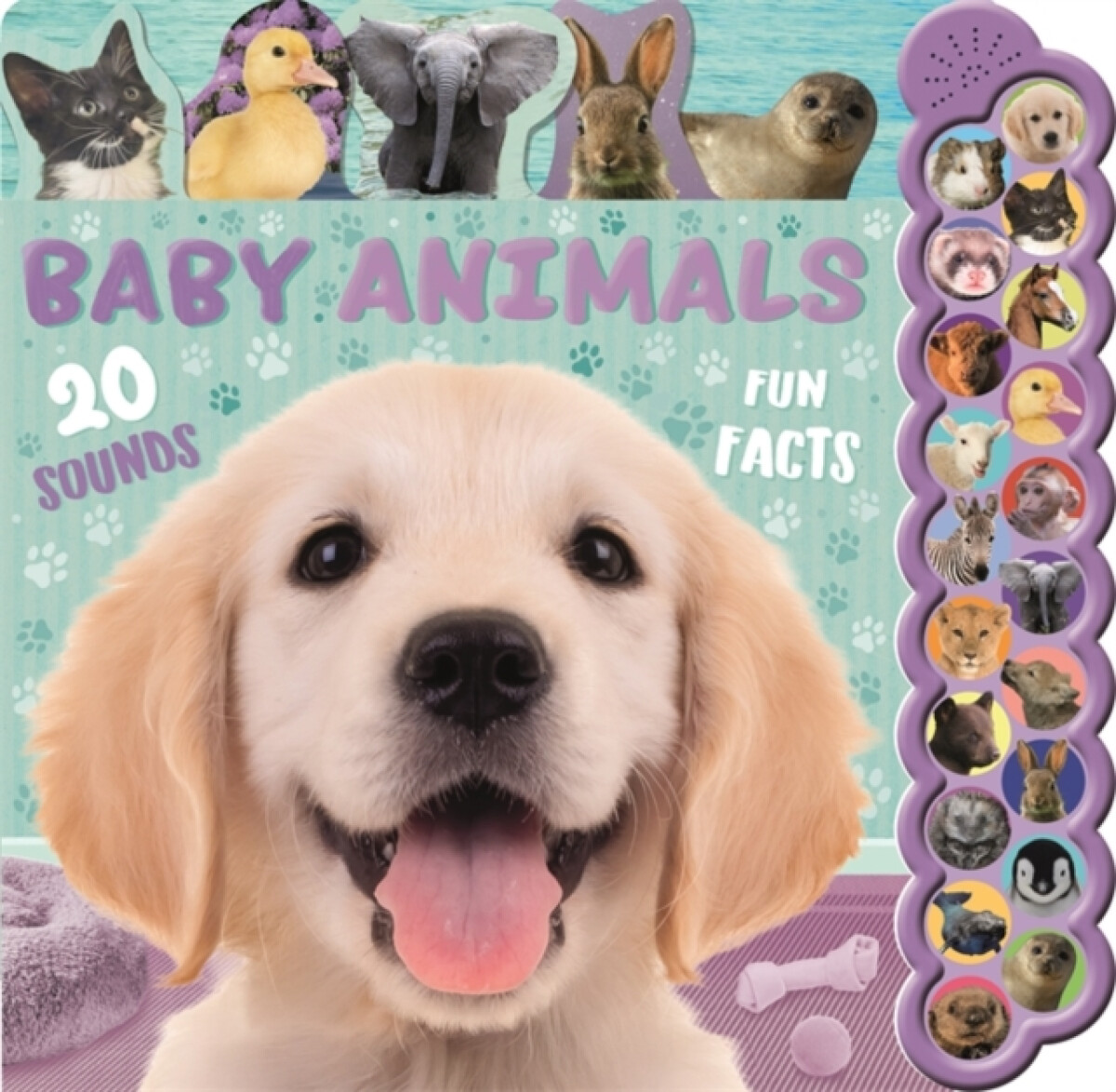 Baby Animals koupíte na Knihydobrovsky.cz