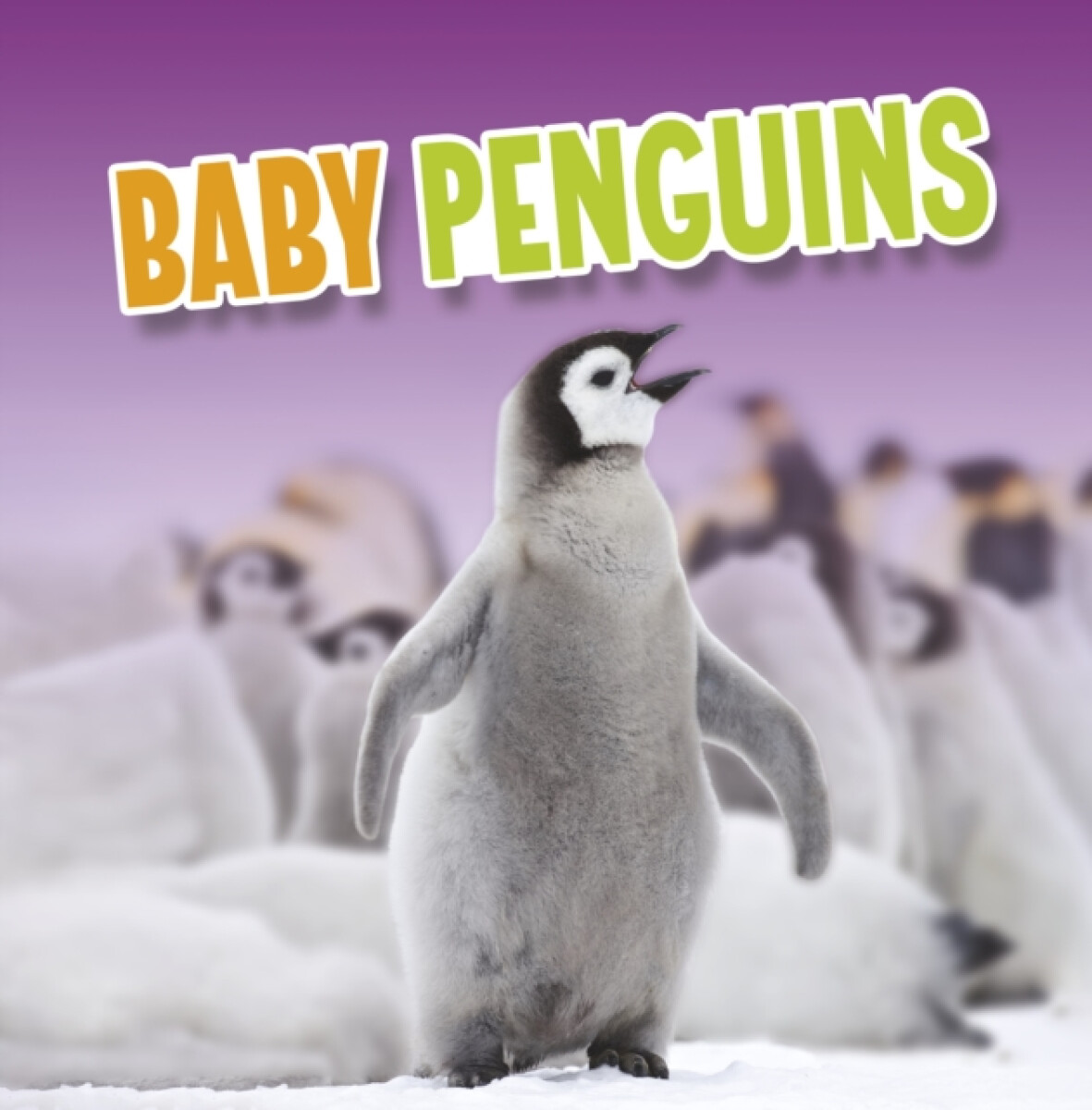 Kniha Baby Penguins