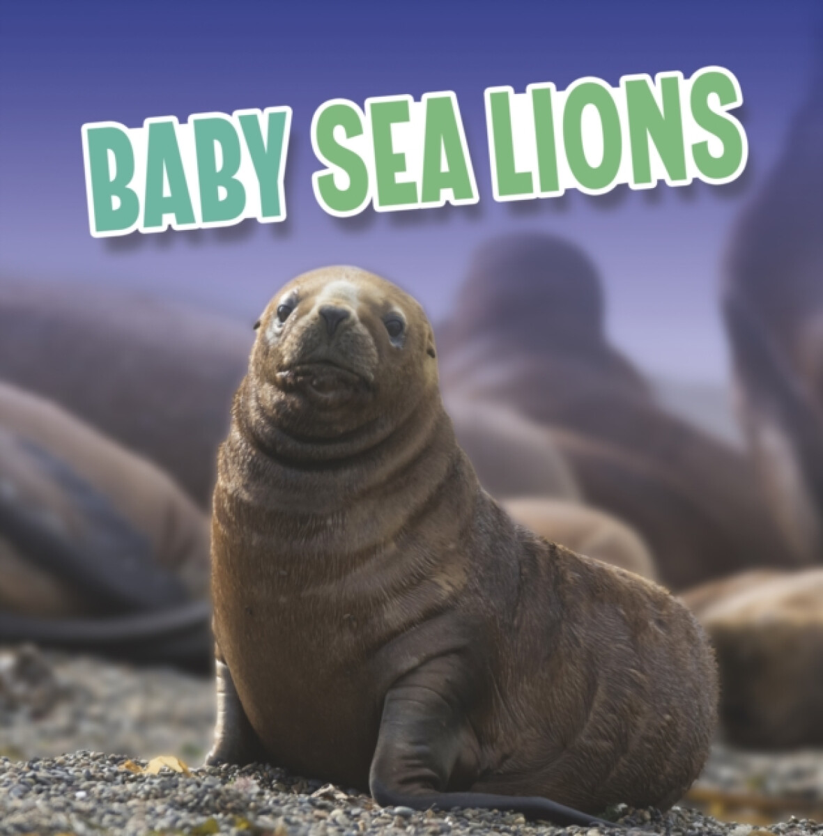 Kniha Baby Sea Lions