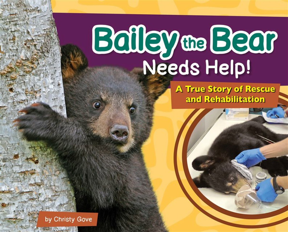 Kniha Bailey the Bear Needs Help!