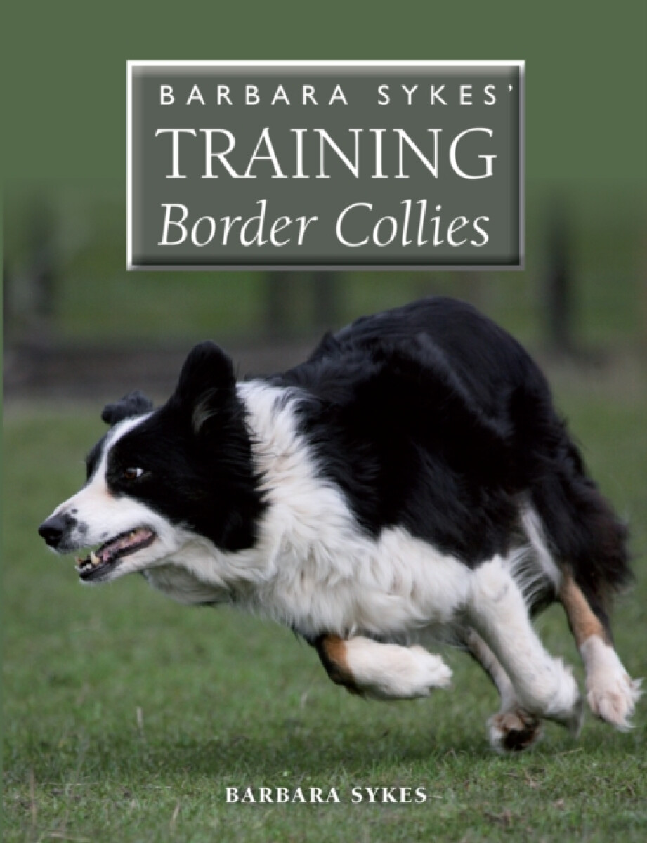 Kniha Barbara Sykes' Training Border Collies