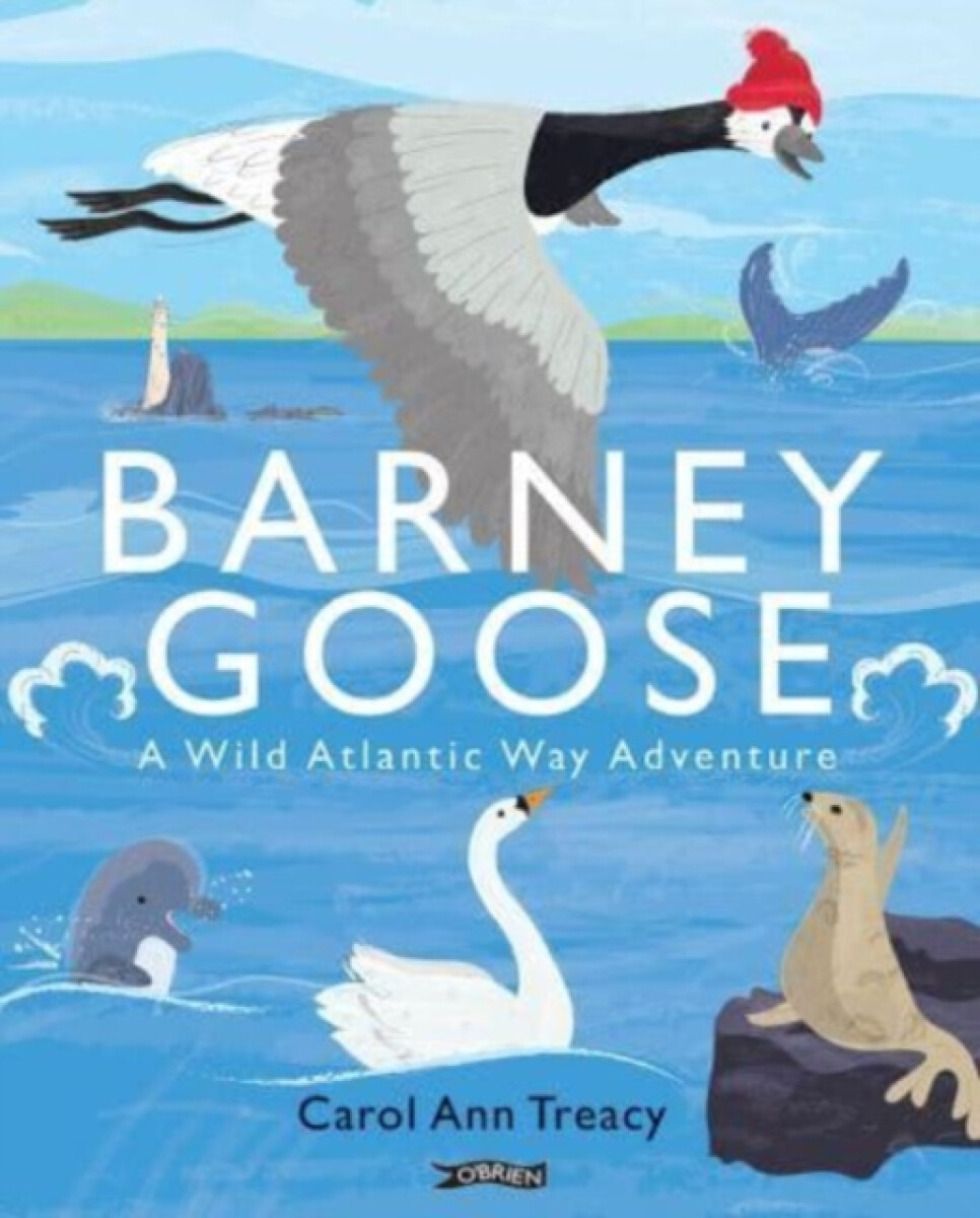 Kniha Barney Goose