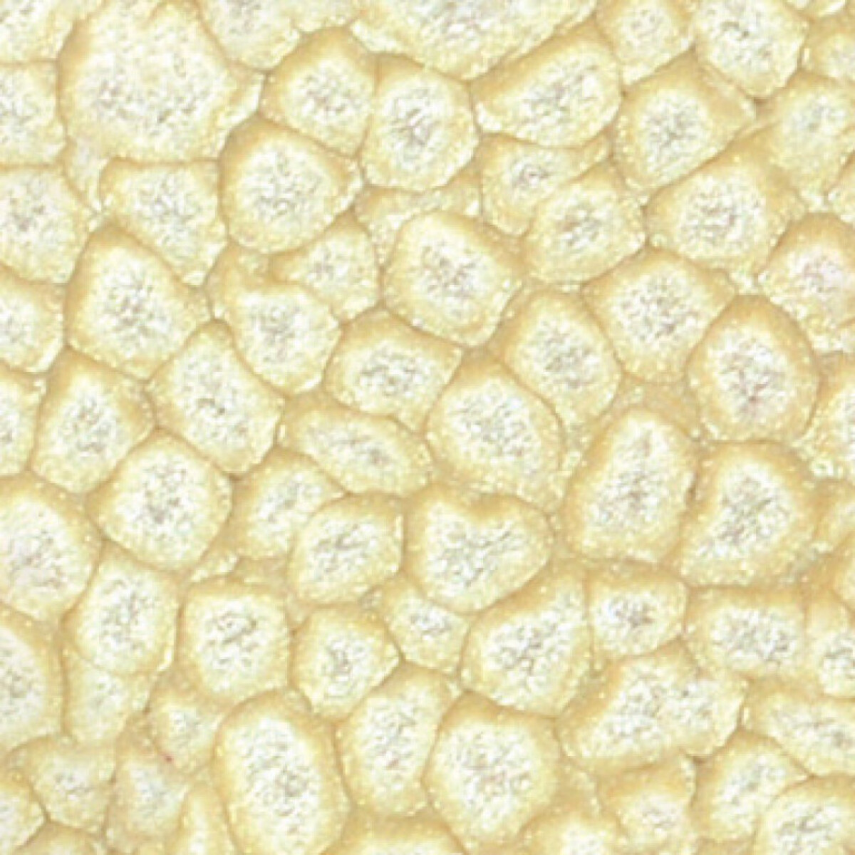 Barva Pébéo Fantasy Prisme 45ml – 20 Eggshell white