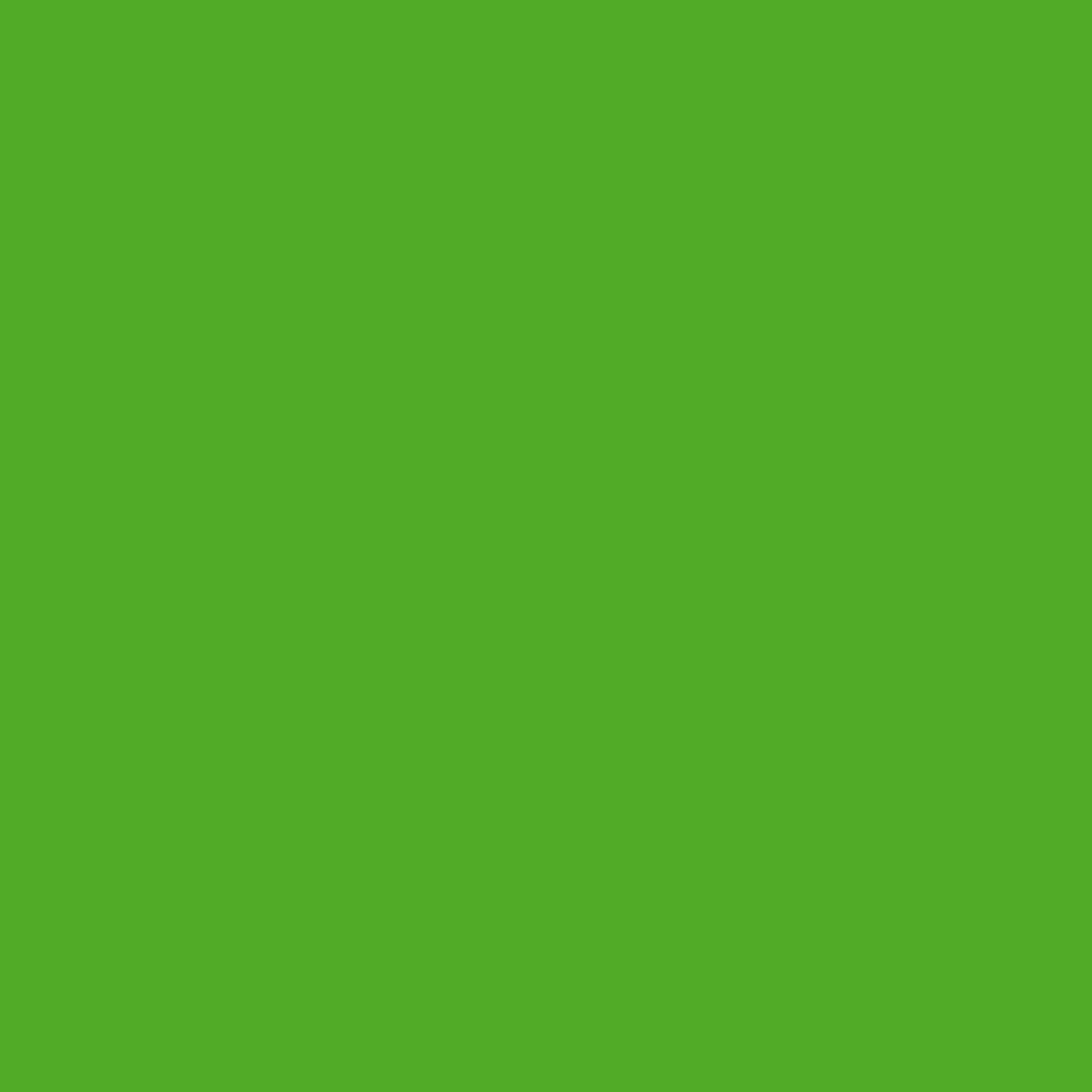 Barva ve spreji Montana Black 400ml – 6045 Irish green