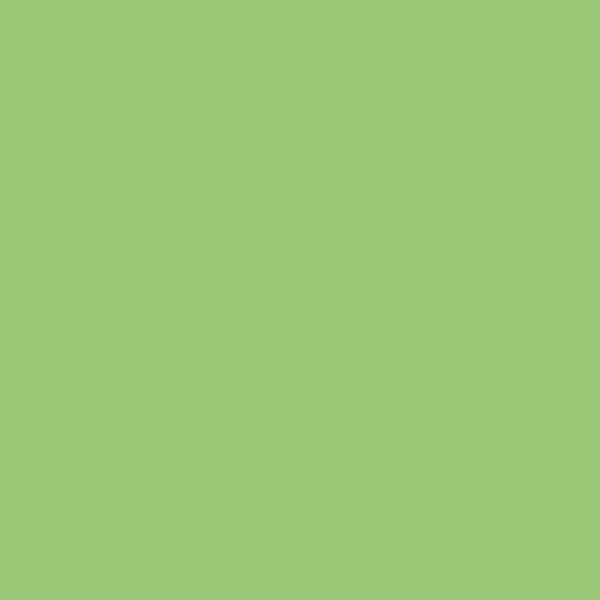 Barva ve spreji Montana Black 400ml – 6210 E2E green