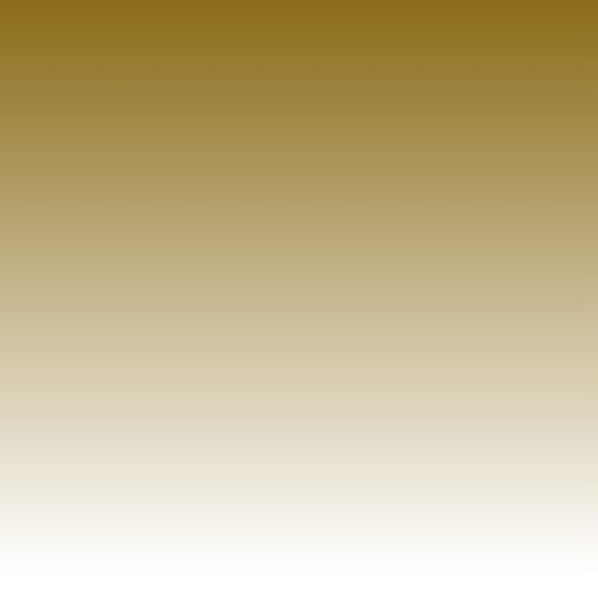 Barva ve spreji Montana Black 400ml – Goldchrome