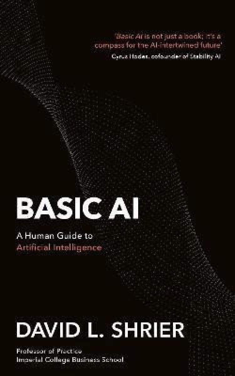Kniha Basic AI