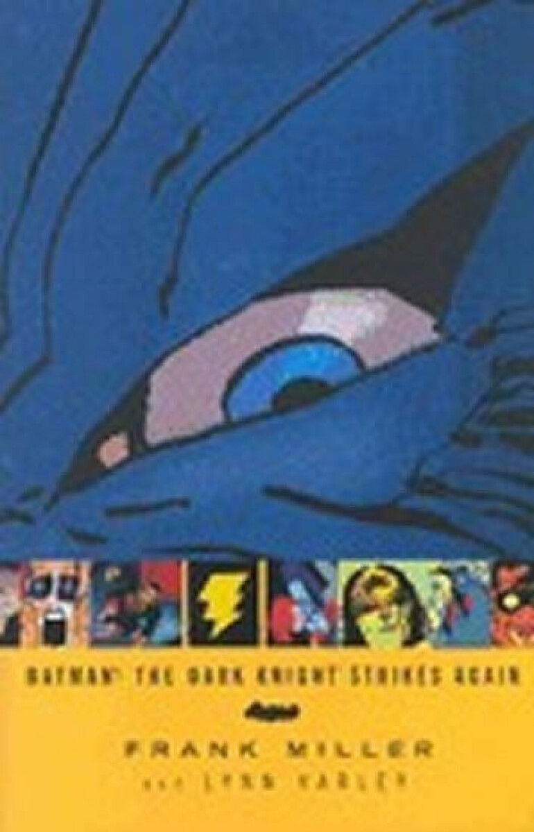 Kniha Batman: The Dark Knight Strikes Again