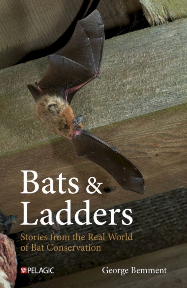Kniha Bats & Ladders