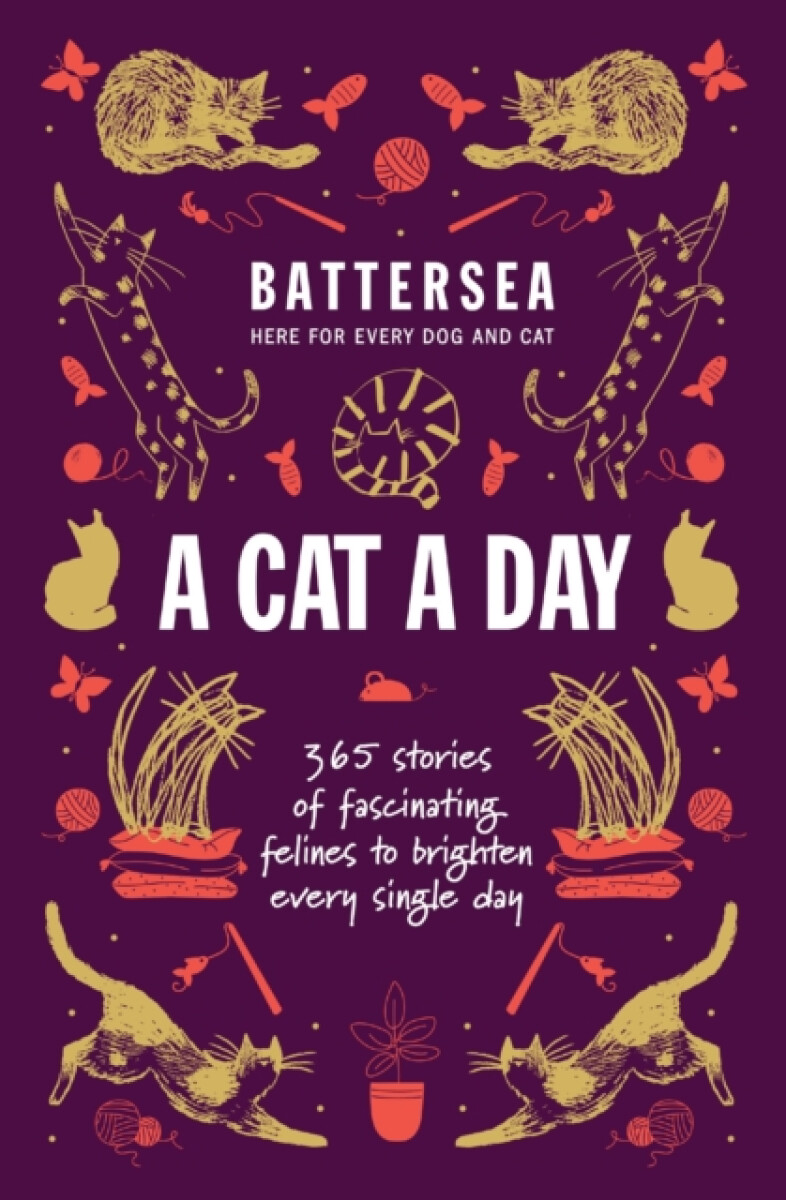 Kniha Battersea Dogs and Cats Home - A Cat a Day