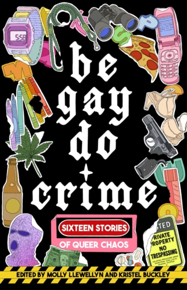 Kniha Be Gay, Do Crime
