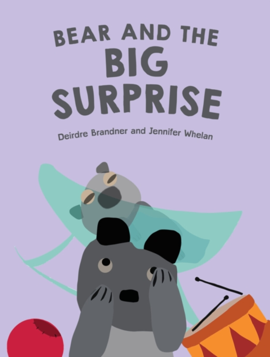 Kniha Bear and the Big Surprise