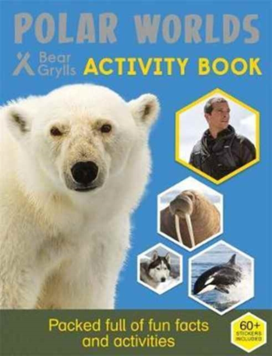 Kniha Bear Grylls Sticker Activity: Polar Worlds