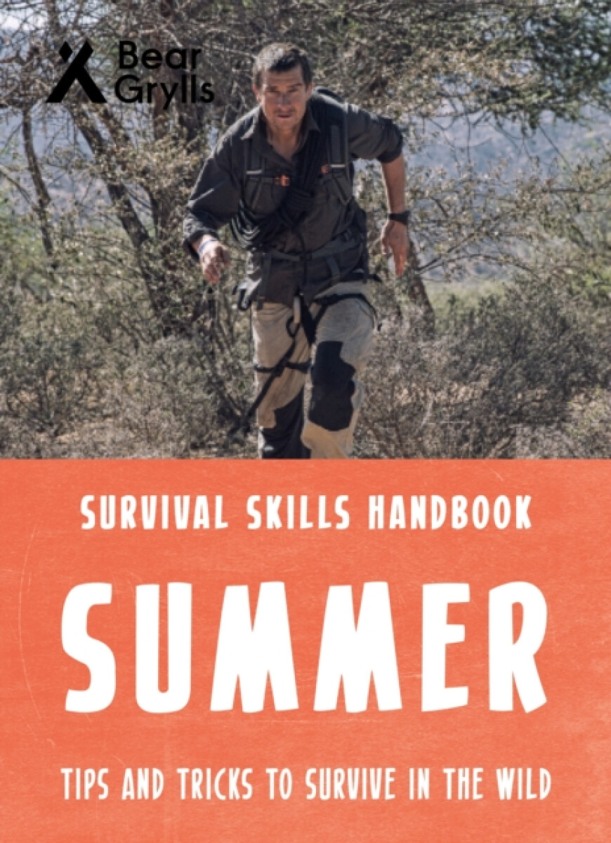 Kniha Bear Grylls Survival Skills: Summer