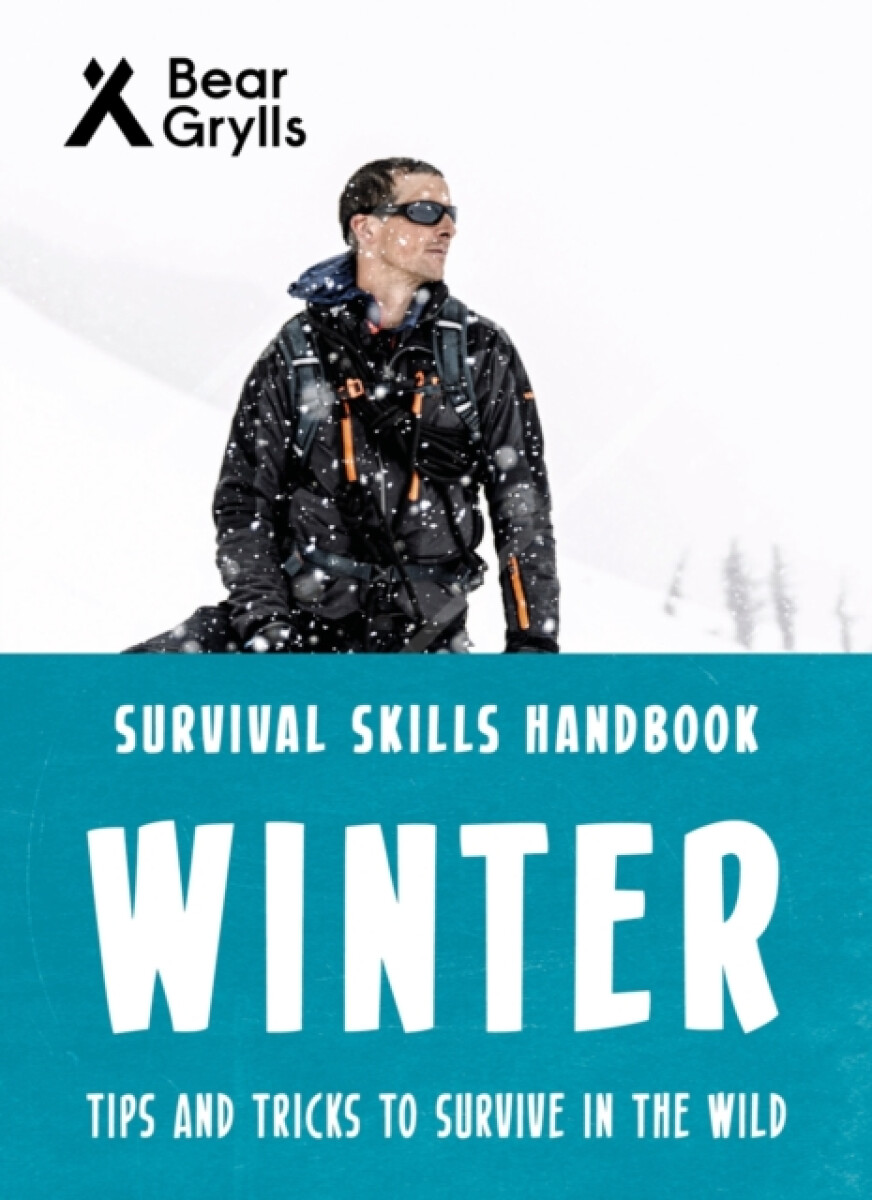 Kniha Bear Grylls Survival Skills: Winter