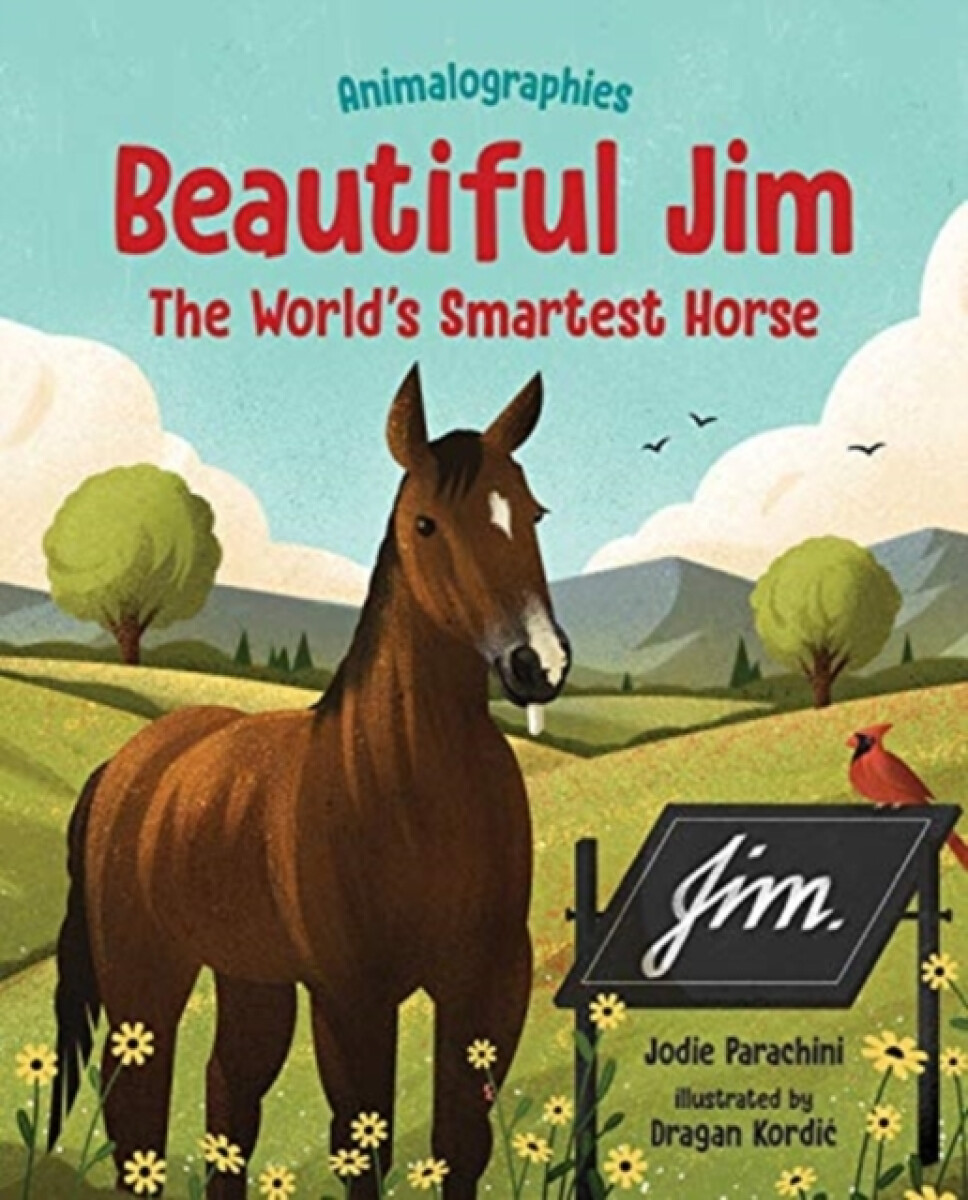 Kniha BEAUTIFUL JIM