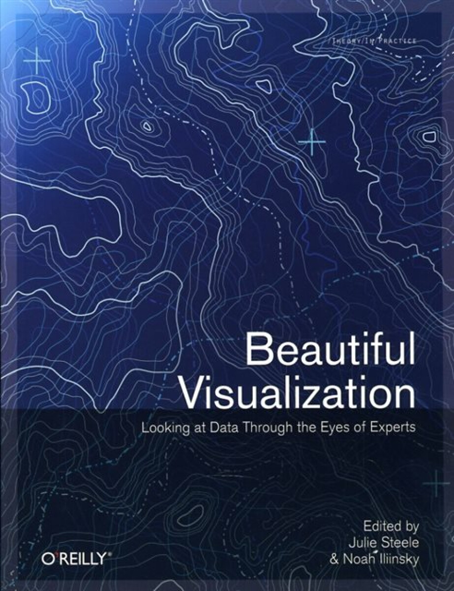 Kniha Beautiful Visualization : Looking At Data Through The Eyes Of Experts