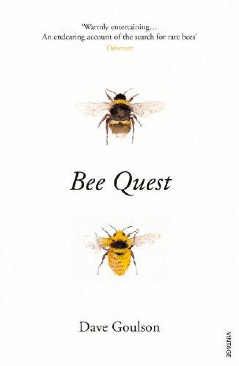 Kniha Bee Quest