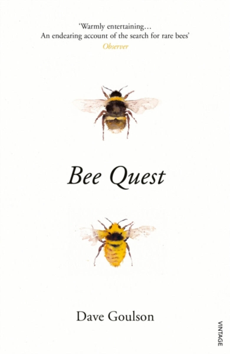Kniha Bee Quest