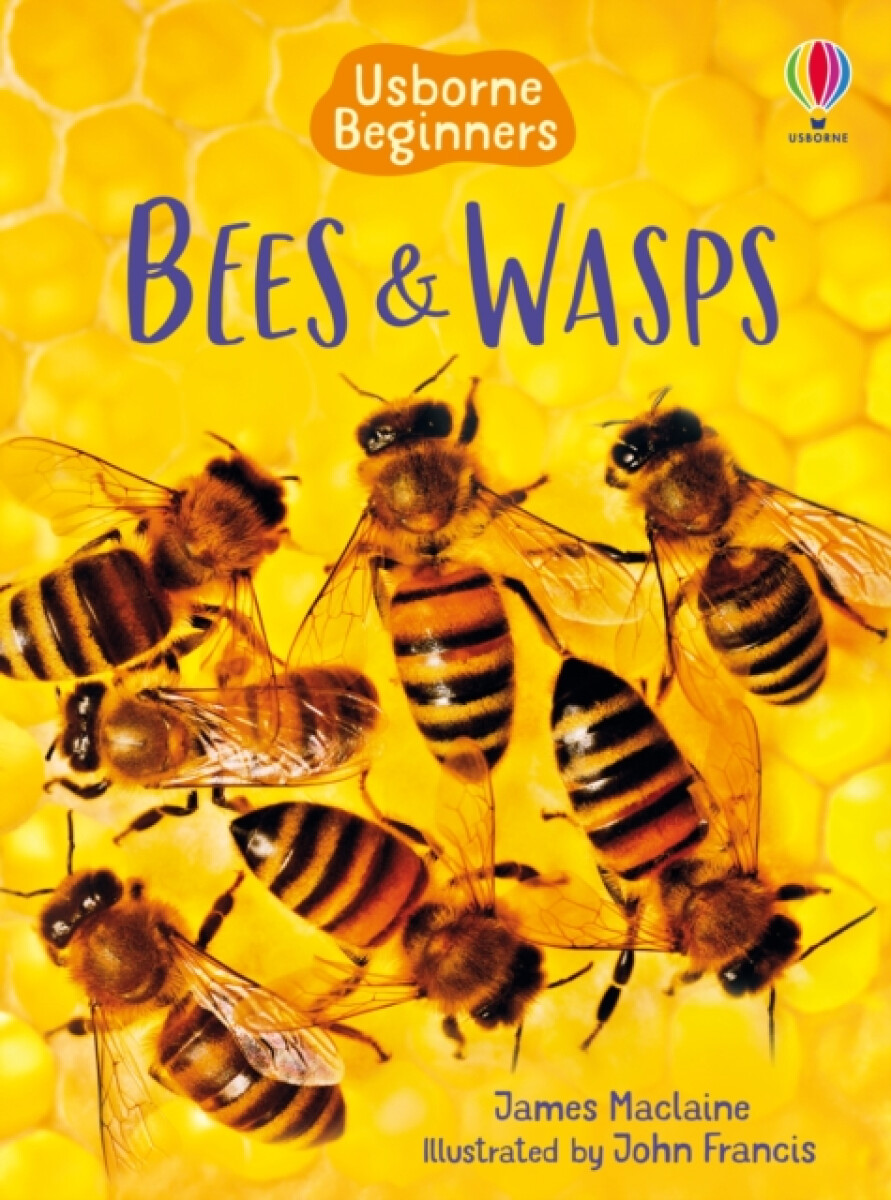 Kniha Bees and Wasps