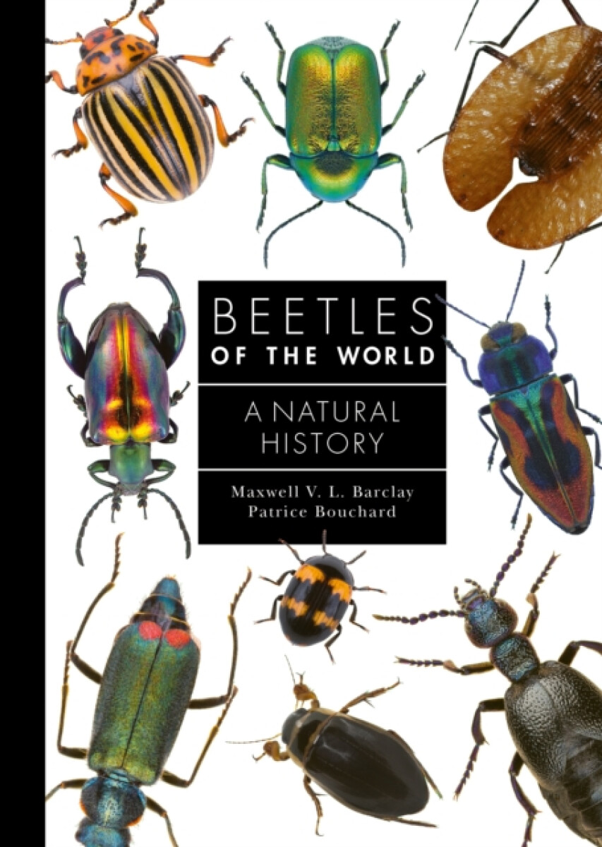 Kniha Beetles of the World