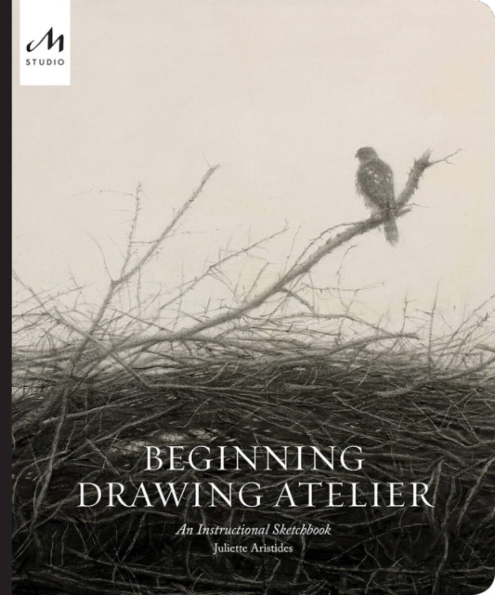 Kniha Beginning Drawing Atelier