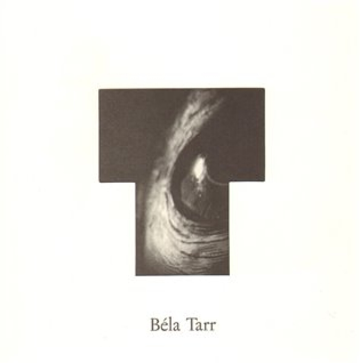 Kniha Béla Tarr - v oku velryby