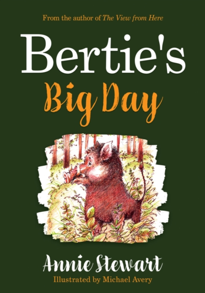 Kniha Bertie's Big Day