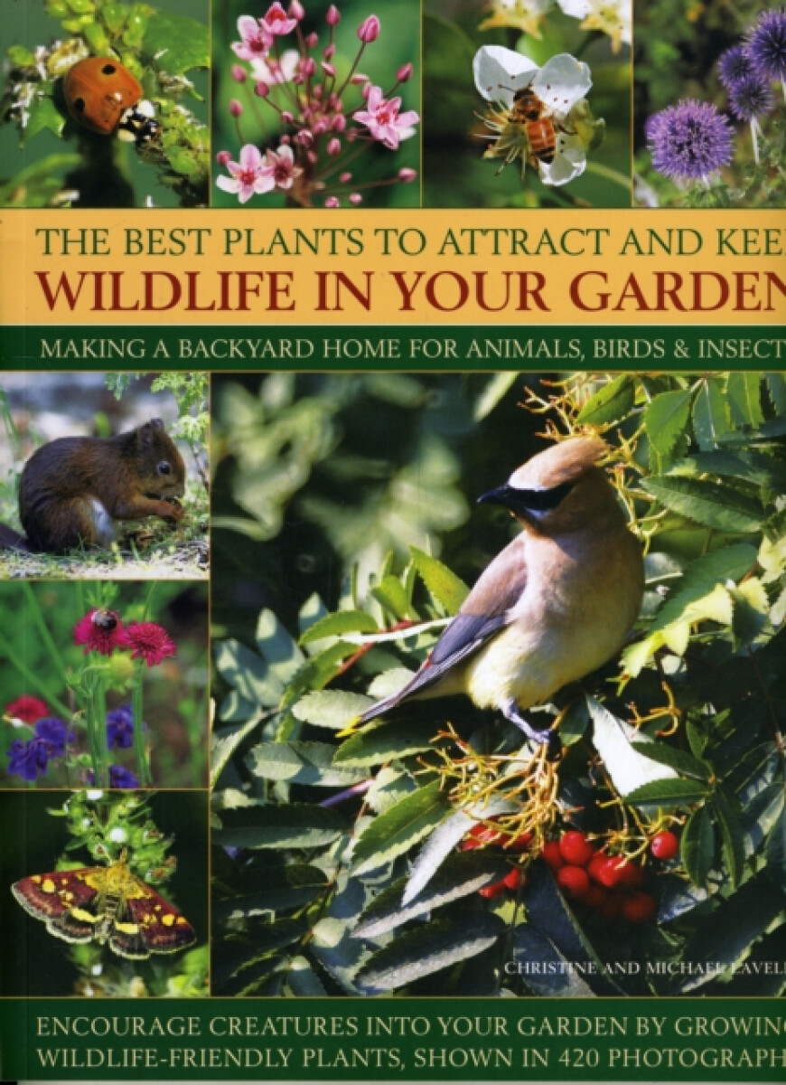Kniha Best Plants to Attract and Keep Wildlife in the Garden